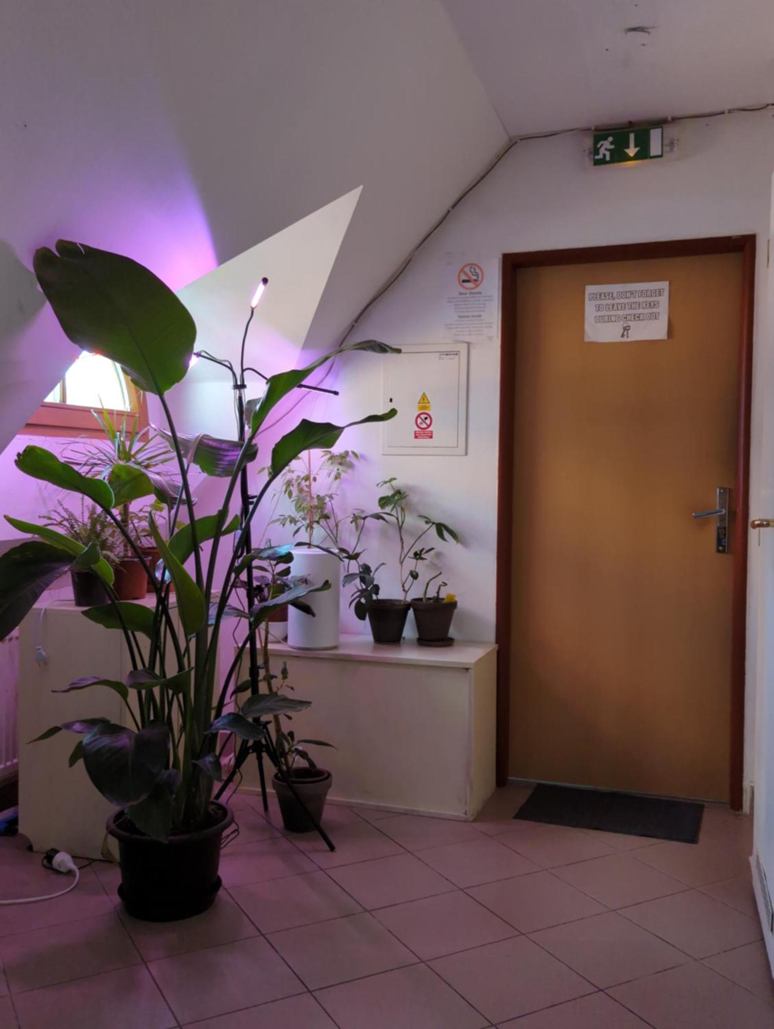 Hostel John Galt *
